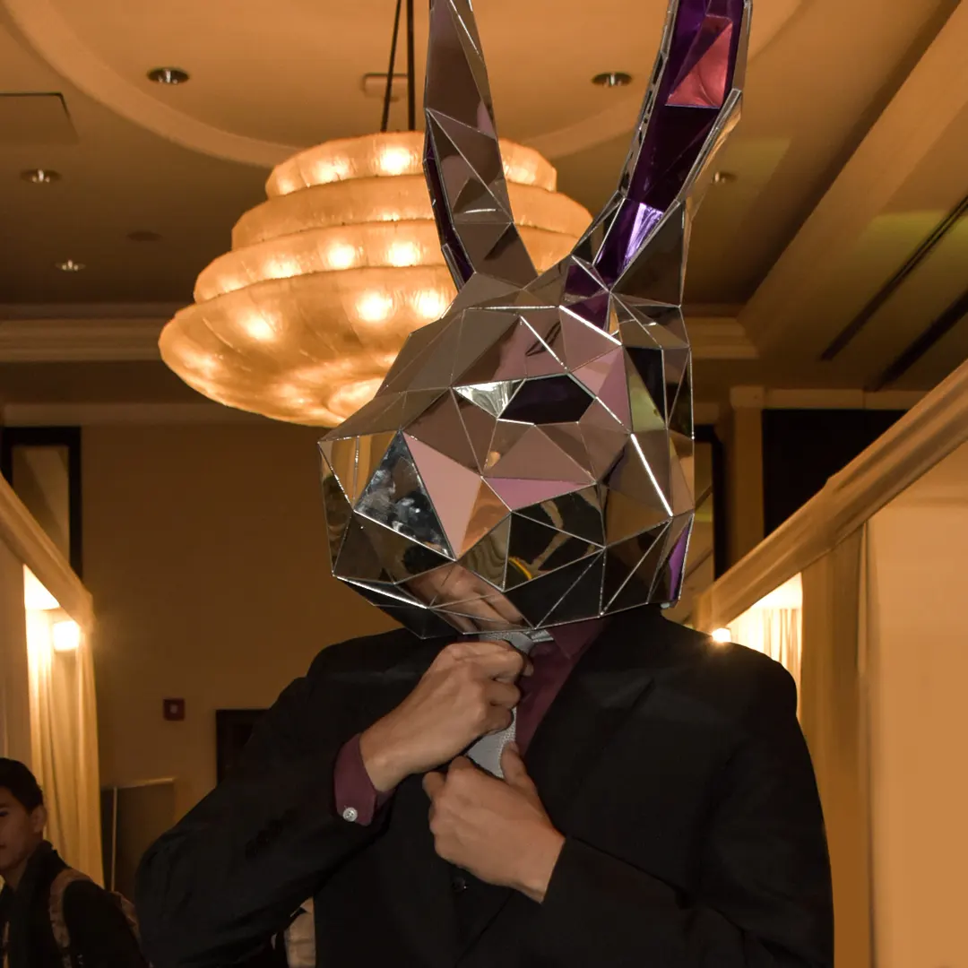 Conejo Elegante